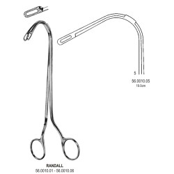 Gall Bladder